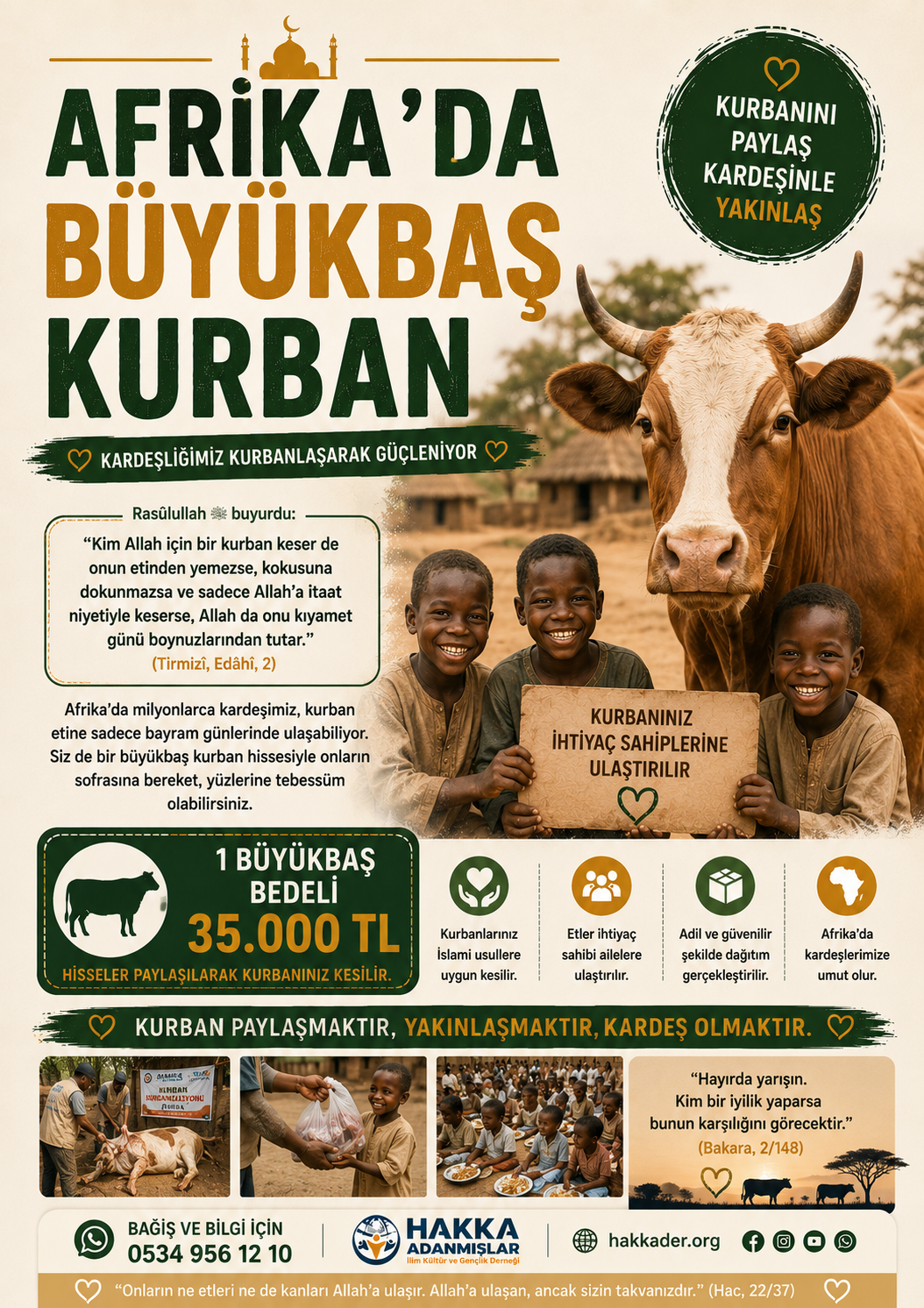 Büyükbaş Bir Kurban