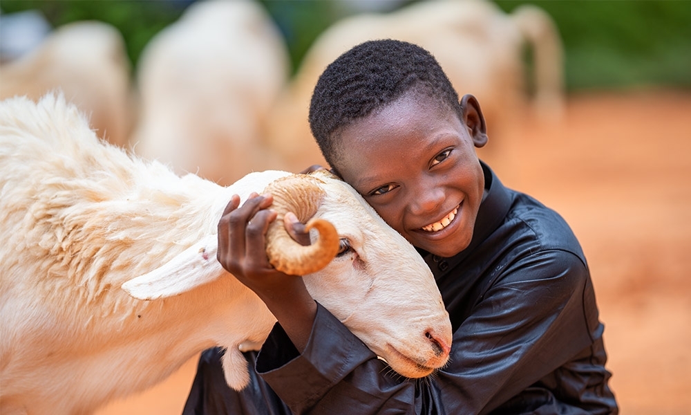 Küçükbaş Kurban Bağışı